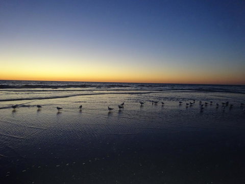 Selene Holiday Apartment @West Beach - Accommodation Main Beach 6