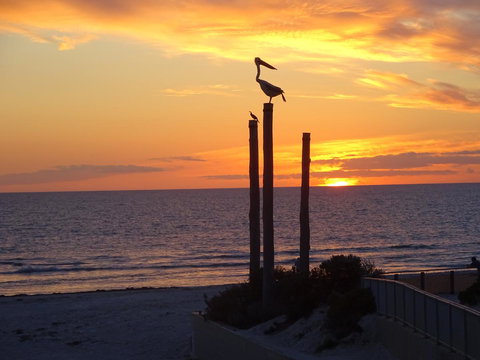 Selene Holiday Apartment @West Beach - Accommodation Main Beach 2