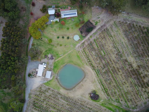 STUDIO ECHUNGA Adelaide Hills - Accommodation Main Beach 22