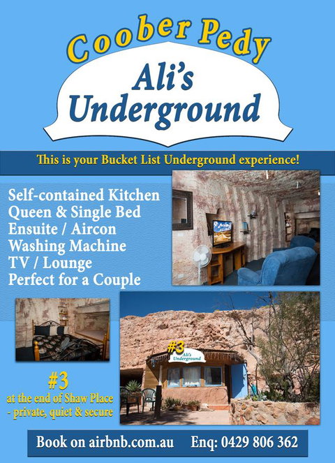 Ali\'s Underground Studio - Accommodation Main Beach 12