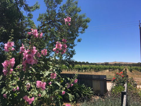 Amy\'s House Bed & Breakfast - Accommodation Main Beach 29