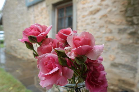 Amy\'s House Bed & Breakfast - Accommodation Main Beach 30