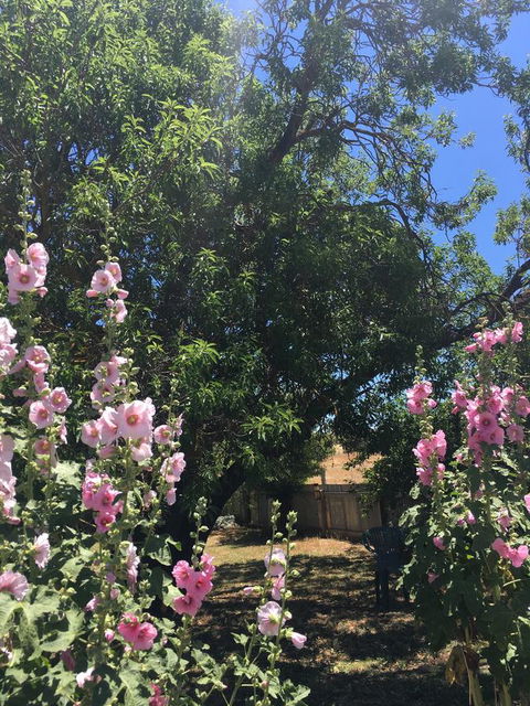 Amy\'s House Bed & Breakfast - Accommodation Main Beach 37