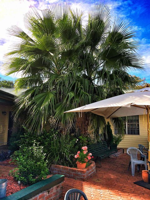 Ten Dollar Town Motel - Accommodation Main Beach 17