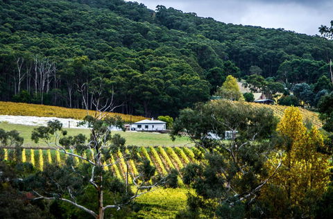 Esto House - Accommodation Main Beach 4