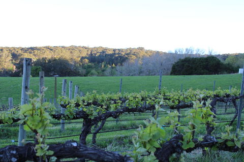 Esto House - Accommodation Main Beach 23