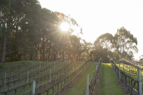 Esto House - Accommodation Main Beach 2