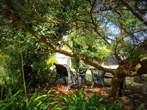 The Pig And Whistle - Accommodation Main Beach 4