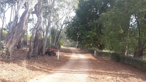 Taralee Orchards - Accommodation Main Beach 4