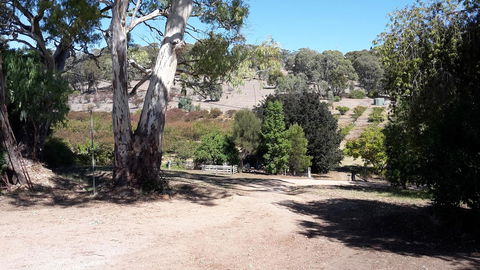 Taralee Orchards - Accommodation Main Beach 3