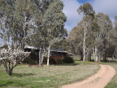 Taralee Orchards - Accommodation Main Beach 9