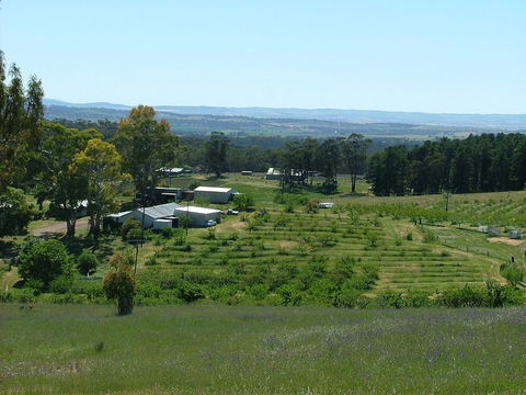 Taralee Orchards - Accommodation Main Beach 0