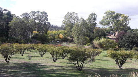 Taralee Orchards - Accommodation Main Beach 1
