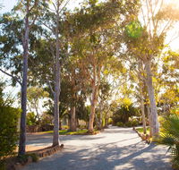 Modra's Apartments - Accommodation Main Beach