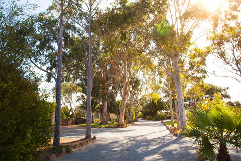 Modra\'s Apartments - Accommodation Main Beach 0