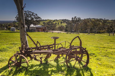 Angaston Saleyards Luxury Accommodation - Accommodation Main Beach 23