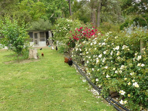 Camawald Coonawarra Cottage B&B - Accommodation Main Beach 3