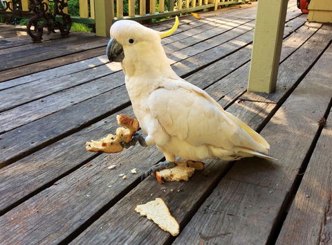 Aldgate Valley Bed And Breakfast - Accommodation Main Beach 40