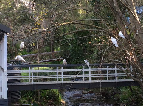 Aldgate Valley Bed And Breakfast - Accommodation Main Beach 41