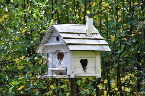 Aldgate Valley Bed And Breakfast - Accommodation Main Beach 37