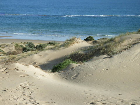 McCloud House - Accommodation Main Beach 10
