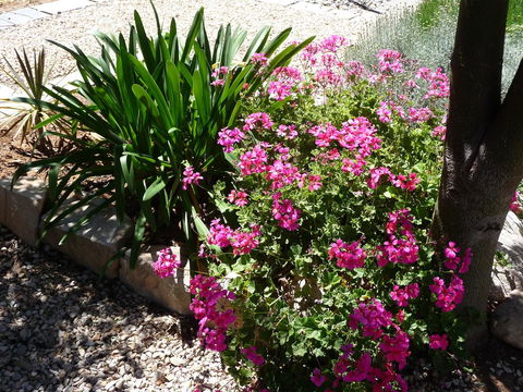 Country Bakehouse Accommodation - Accommodation Main Beach 18