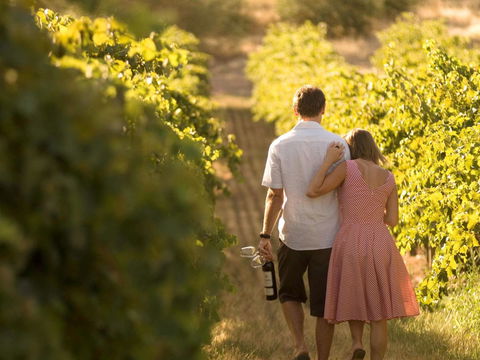 Novotel Barossa Valley Resort - Accommodation Main Beach 40