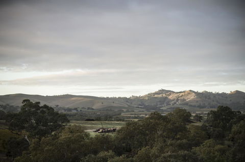 Novotel Barossa Valley Resort - Accommodation Main Beach 23