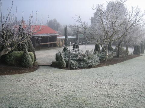 Vineyard Cottage BnB - Accommodation Main Beach 15