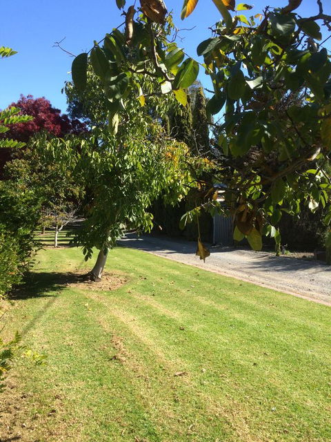 Vineyard Cottage BnB - Accommodation Main Beach 17
