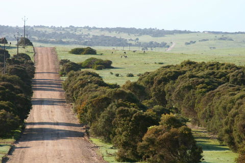 Almonta Park Lodge - Accommodation Main Beach 1
