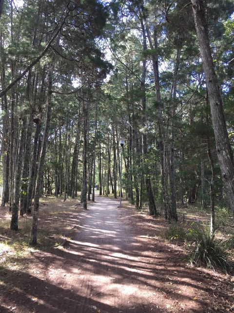 Brunswick Heads Treetop Studio - Accommodation Main Beach 8