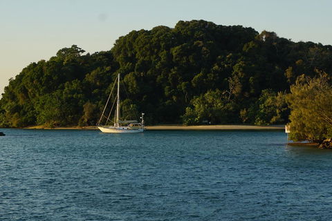 Brunswick Heads Treetop Studio - Accommodation Main Beach 9