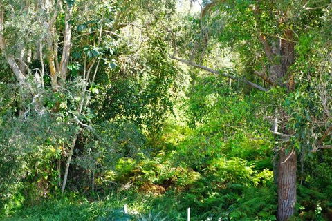 Brunswick Heads Treetop Studio - Accommodation Main Beach 20