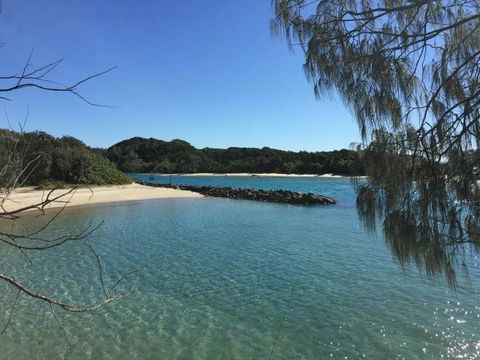Brunswick Heads Treetop Studio - Accommodation Main Beach 22