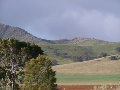 Burra Motor Inn - Accommodation Main Beach 32