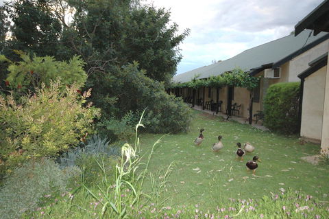 Burra Motor Inn - Accommodation Main Beach 24