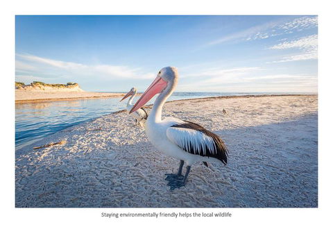 Adelaide Luxury Beach House - Accommodation Main Beach 25