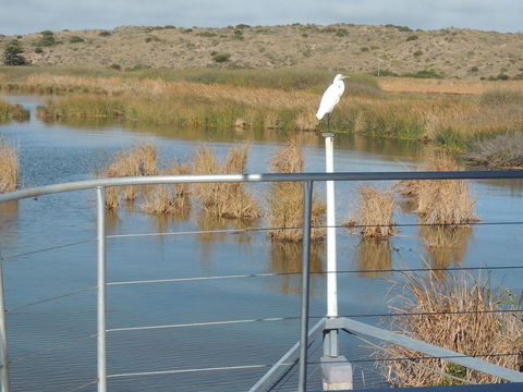 PS Federal Retreat Paddle Steamer Goolwa - Accommodation Main Beach 11