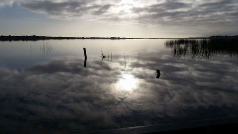 PS Federal Retreat Paddle Steamer Goolwa - Accommodation Main Beach 16