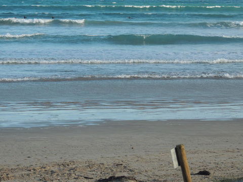 PS Federal Retreat Paddle Steamer Goolwa - Accommodation Main Beach 14