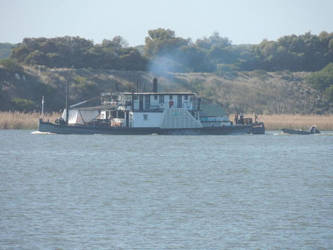 PS Federal Retreat Paddle Steamer Goolwa - Accommodation Main Beach 10