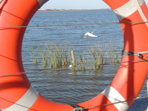 PS Federal Retreat Paddle Steamer Goolwa - Accommodation Main Beach 18