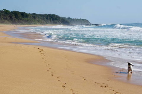 Culburra Beachhouse - Accommodation Main Beach 7