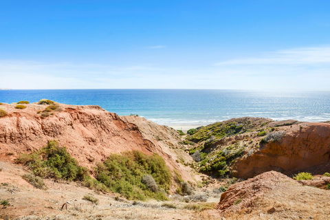Salomon Sea Haus - Sellicks Beach - C21 SouthCoast Holidays - Accommodation Main Beach 1