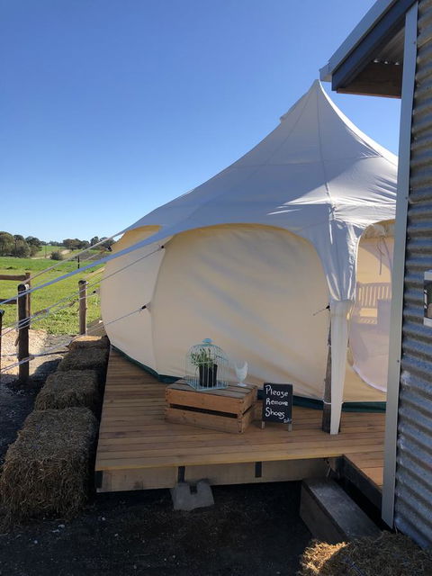 Bukirk Glamping & Fancy Coops - Accommodation Main Beach 11