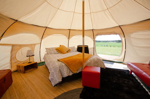 Bukirk Glamping & Fancy Coops - Accommodation Main Beach 8