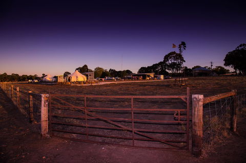 Bukirk Glamping & Fancy Coops - Accommodation Main Beach 33