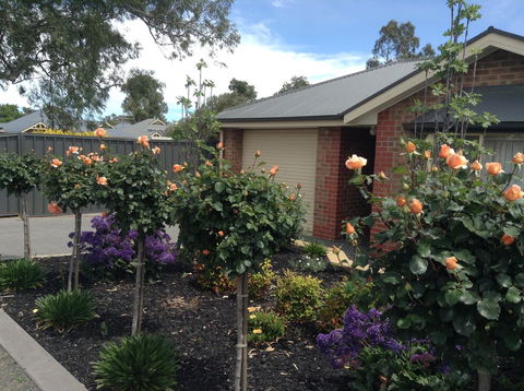 C And C Tanunda - Accommodation Main Beach 1