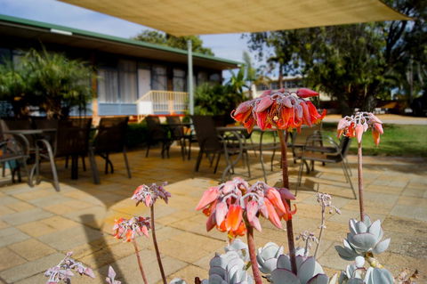 Kangaroo Island Seaview Motel - Accommodation Main Beach 3